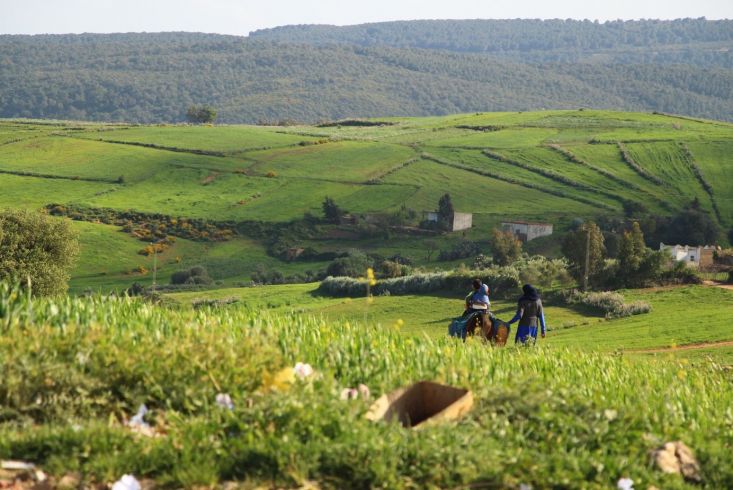 Ferme solidaire à jouaouda