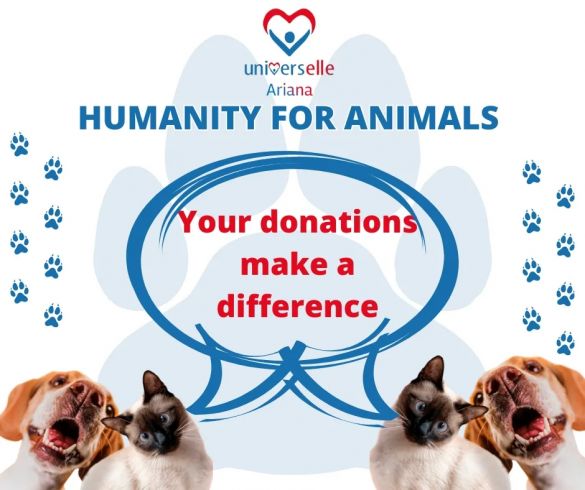 For The Love Of Animals