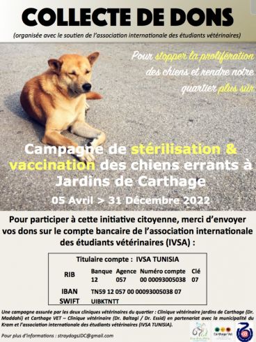 Campagne de stérilisation des chiens du kram