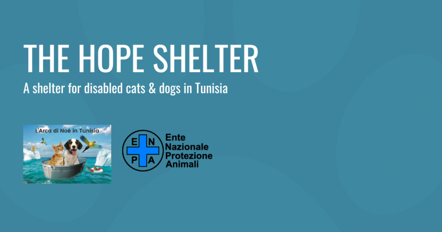 Donate for the hope shelter