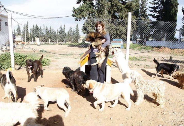 Froid en tunisie, une cagnotte urgente pour venir en aide aux animaux de sabrina