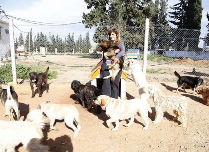 Froid en tunisie, une cagnotte urgente pour venir en aide aux animaux de sabrina