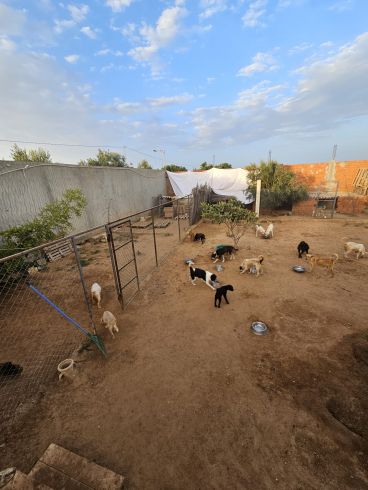 💔 sos refuge : sans vous, tout s’effondre…