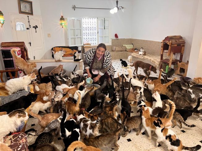 A gesture for houda and her animals
