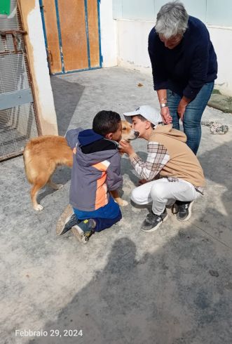 Aide au refuge de soliman pour le ramadan