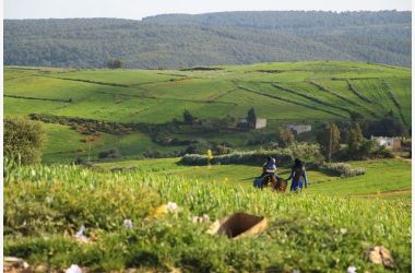 Ferme Solidaire à Jouaouda