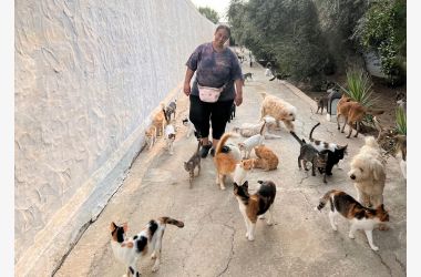 Coup de pousse pour le nouveau refuge de Houda