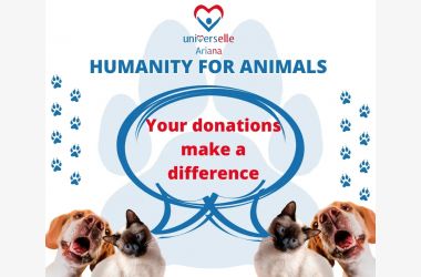 For The Love Of Animals