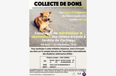 Campagne de Stérilisation des Chiens du Kram