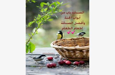 اطعام الطعام صدقة