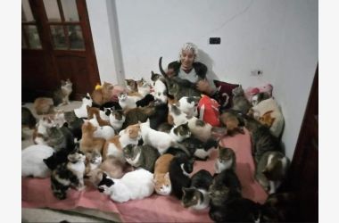 Un nouveau départ pour Houda et ses animaux